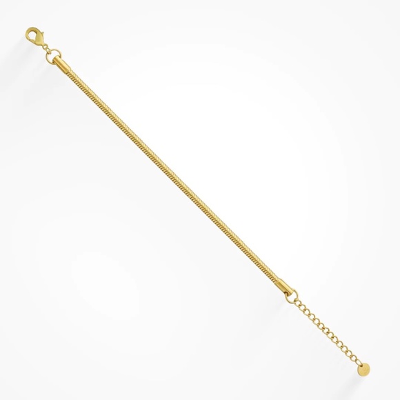 Boa Anklet - Picture 1 of 1